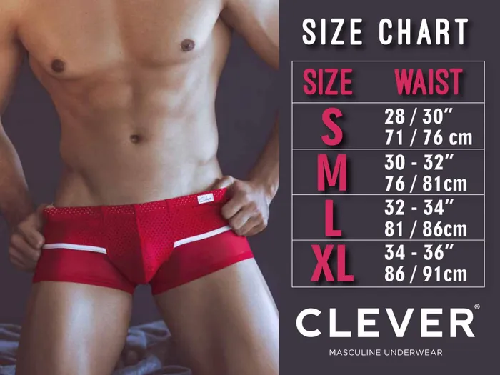 Clever Air Briefs Vibrators