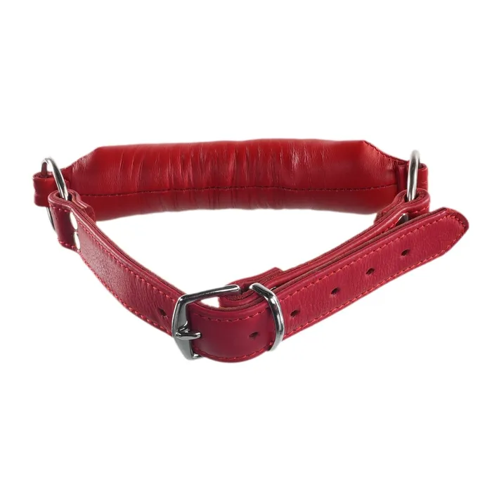 Red Rod Gag By Kink Kink Store Vibrators