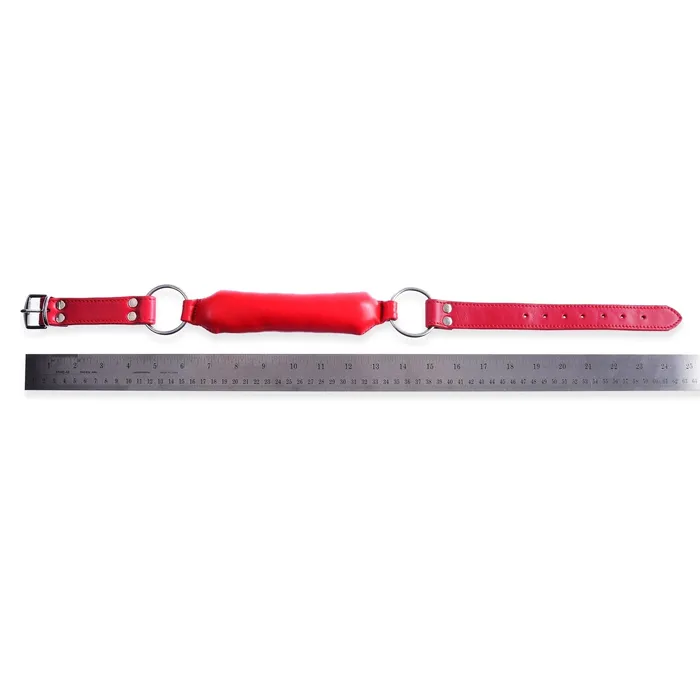 Red Rod Gag By Kink Kink Store Vibrators