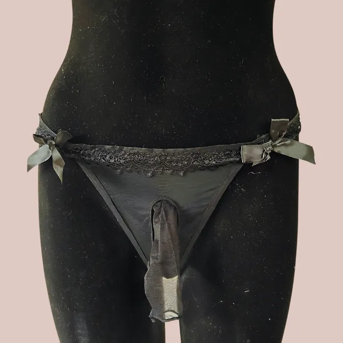 House of Chastity Male Sex Toys Nylon Panties With Penis Sheath