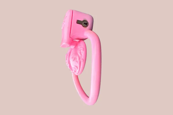 House of Chastity Male Sex Toys Ornate Scroll Sissy Pussy Micro Chastity Cage Kit
