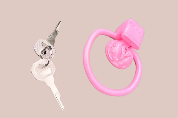 House of Chastity Male Sex Toys Ornate Scroll Sissy Pussy Micro Chastity Cage Kit