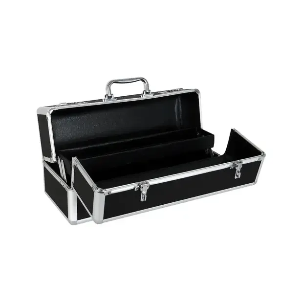 BMS Enterprises Female Sex Toys Large Lockable Vibrator Case