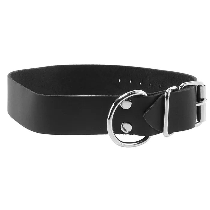 Comfort Fit 1 Inch Leather Collar Spartacus Anal