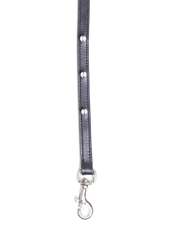 Deluxe Black Leather Studded Leash HonourSkintwocom Anal