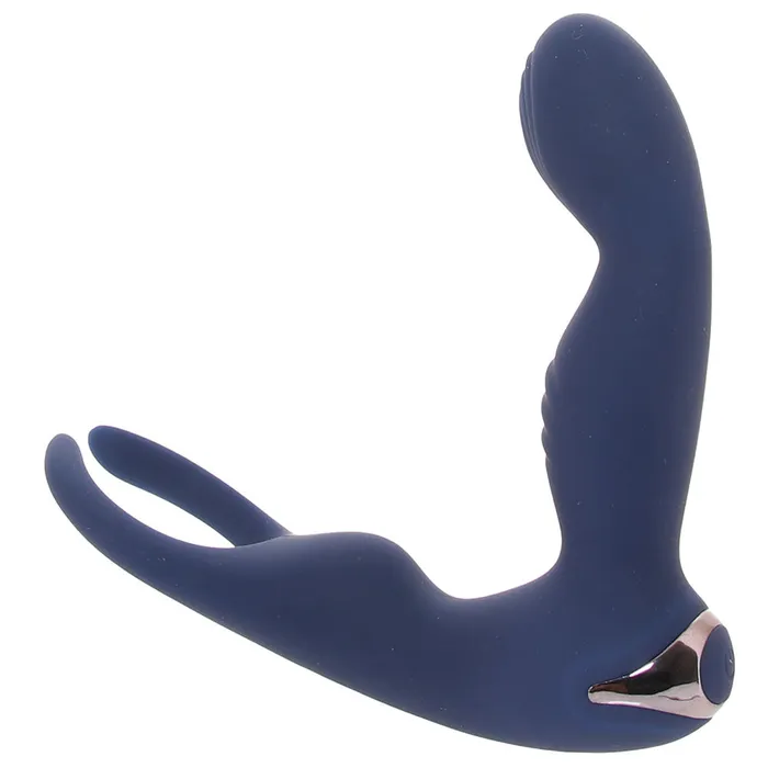 Evolved Novelties Anal Zero Tolerance By All Means PVibe