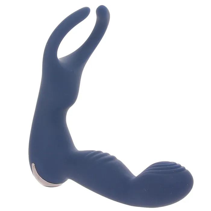 Evolved Novelties Anal Zero Tolerance By All Means PVibe