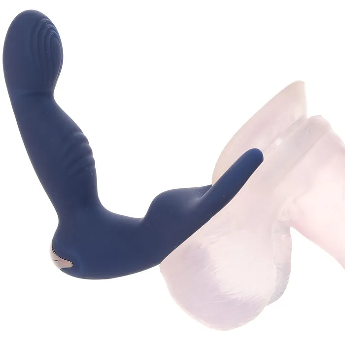 Evolved Novelties Anal Zero Tolerance By All Means PVibe