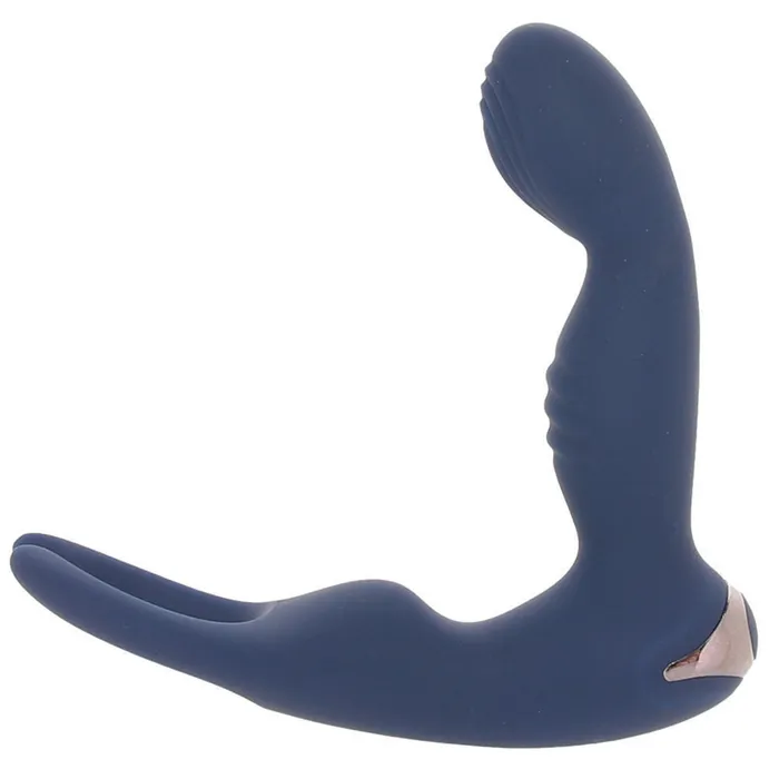 Evolved Novelties Anal Zero Tolerance By All Means PVibe