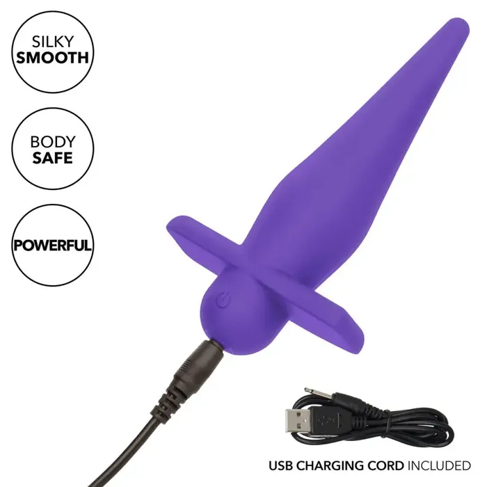 High Intensity Probe Purple Rechargeable CalExotics Anal