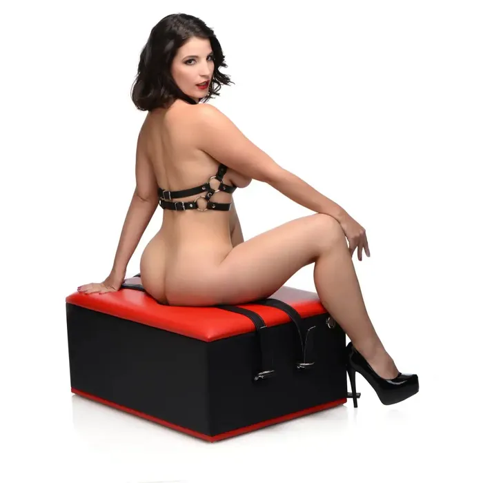 Male Sex Toys Master Series Master Series Queening Chair Male Sex Toys Master Series Master Series Queening Chair