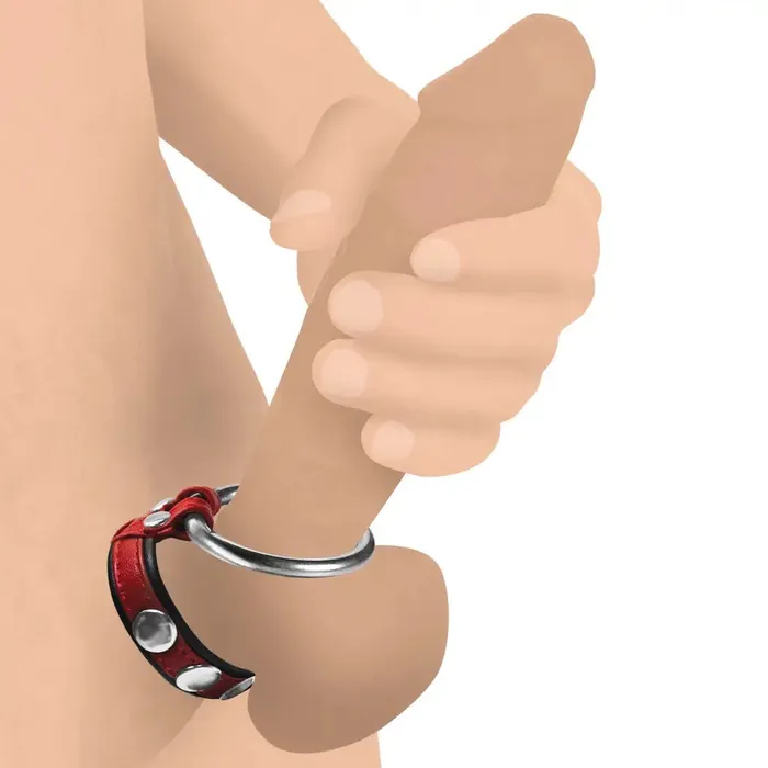 Male Sex Toys XR Brands Leather And Steel Cock And Ball Ring