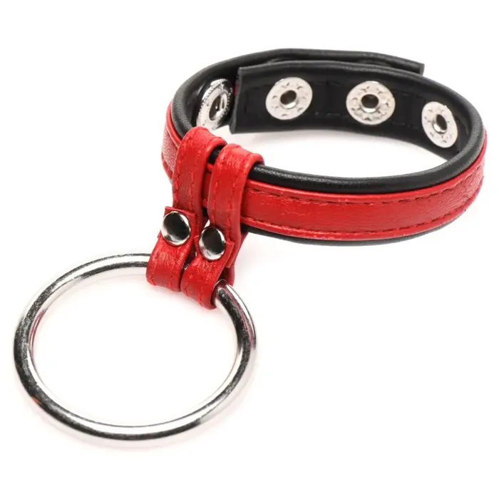 Male Sex Toys XR Brands Leather And Steel Cock And Ball Ring