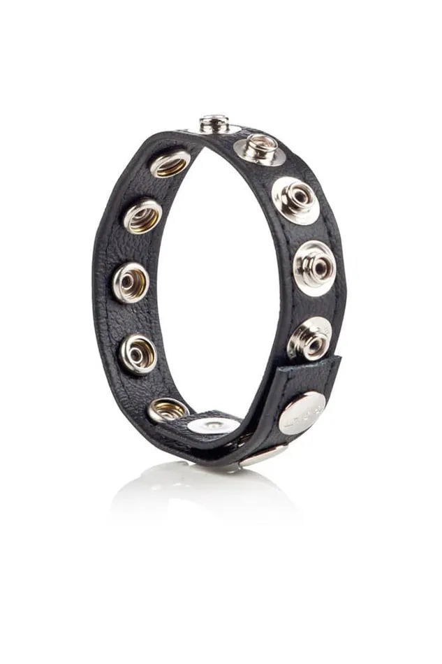 Cal Exotics Colt Adjustable 8 Snap Leather CockBall Strap Cal Exotics Male Sex Toys Cal Exotics Colt Adjustable 8 Snap Leather CockBall Strap Cal Exotics Male Sex Toys