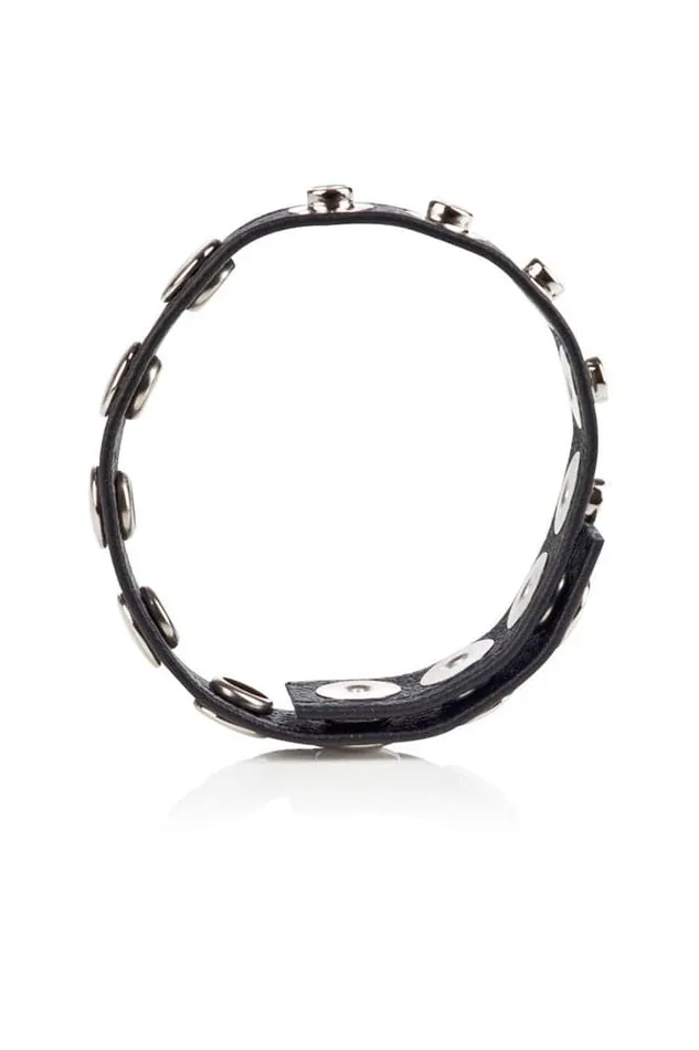 Cal Exotics Colt Adjustable 8 Snap Leather CockBall Strap Cal Exotics Male Sex Toys