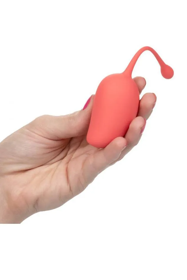 Cal Exotics Female Sex Toys Cal Exotics Kegel Training Set Mango