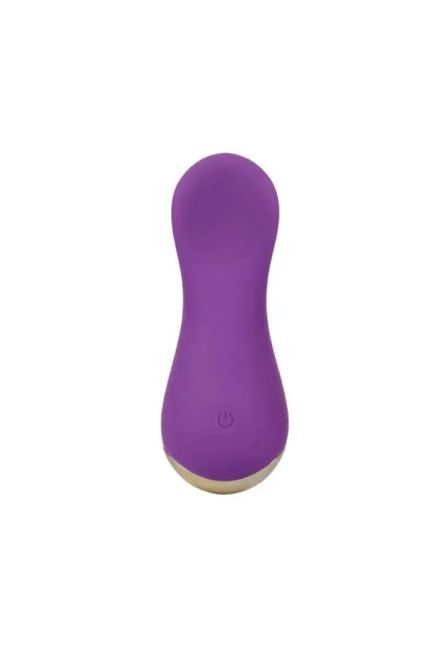 Cal Exotics Vibrators Cal Exotics Slay LoveMe Silcone Vibrator Purple