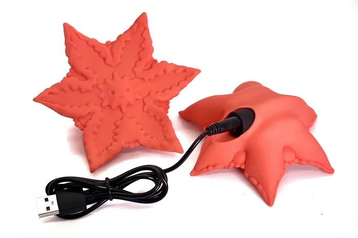 Cute Little Fuckers Vibrators Starsi