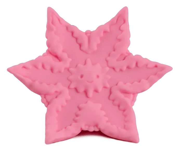 Cute Little Fuckers Vibrators Starsi