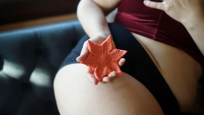 Cute Little Fuckers Vibrators Starsi