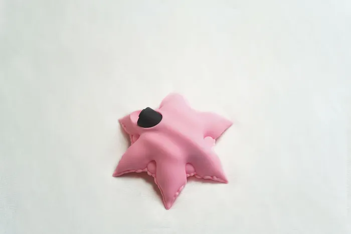 Cute Little Fuckers Vibrators Starsi