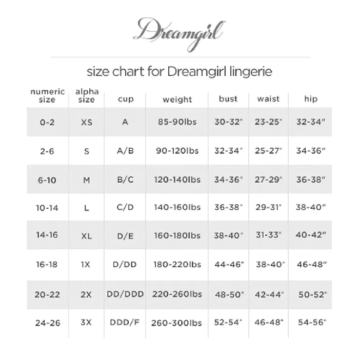 Female Sex Toys DREAMGIRL Dreamgirl Lingerie Criss Cross Lace Panty Slate 1435