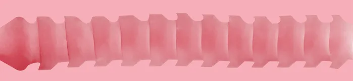 Male Sex Toys Fleshlight GO Jolt Butt Combo Pack