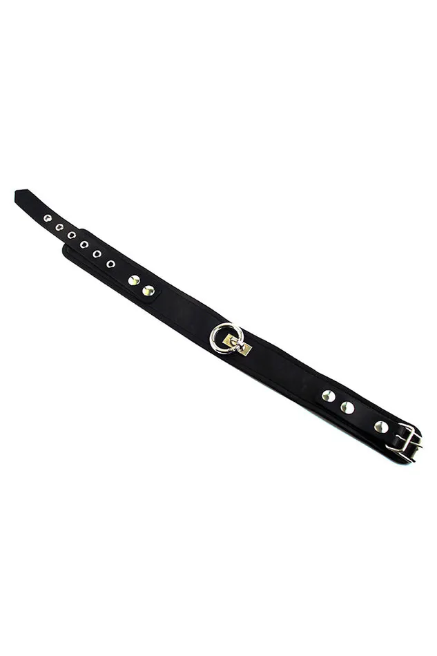 Rouge Garments Leather Collar with ORing Assorted Colors Rouge Garments Male Sex Toys