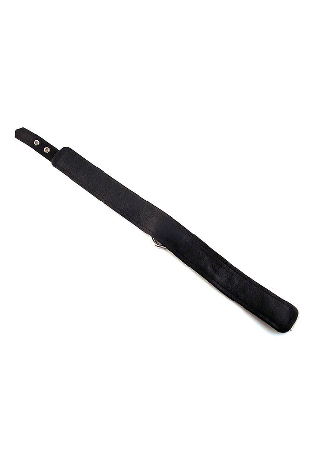 Rouge Garments Leather Collar with ORing Assorted Colors Rouge Garments Male Sex Toys
