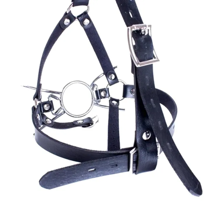 Lovegasm Male Sex Toys Spreader Spider Ring Gag